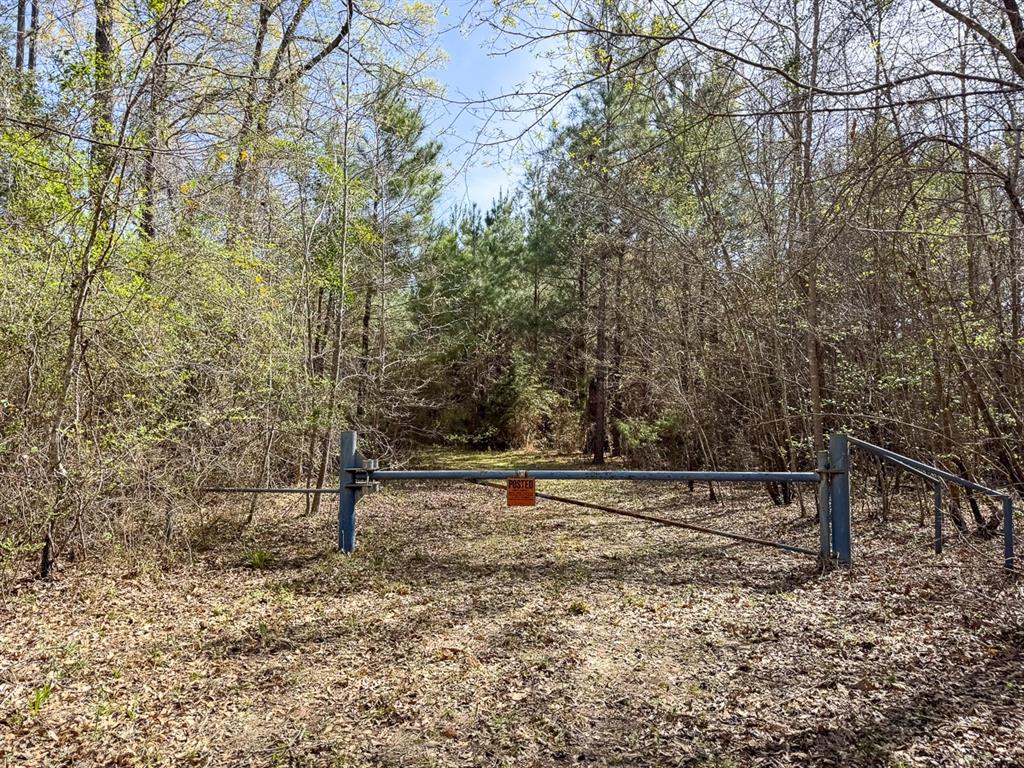 3 La 168 Rodessa La Rodessa, LA 71069 - Photo 19 of 23 a view of outdoor space with deck and trees