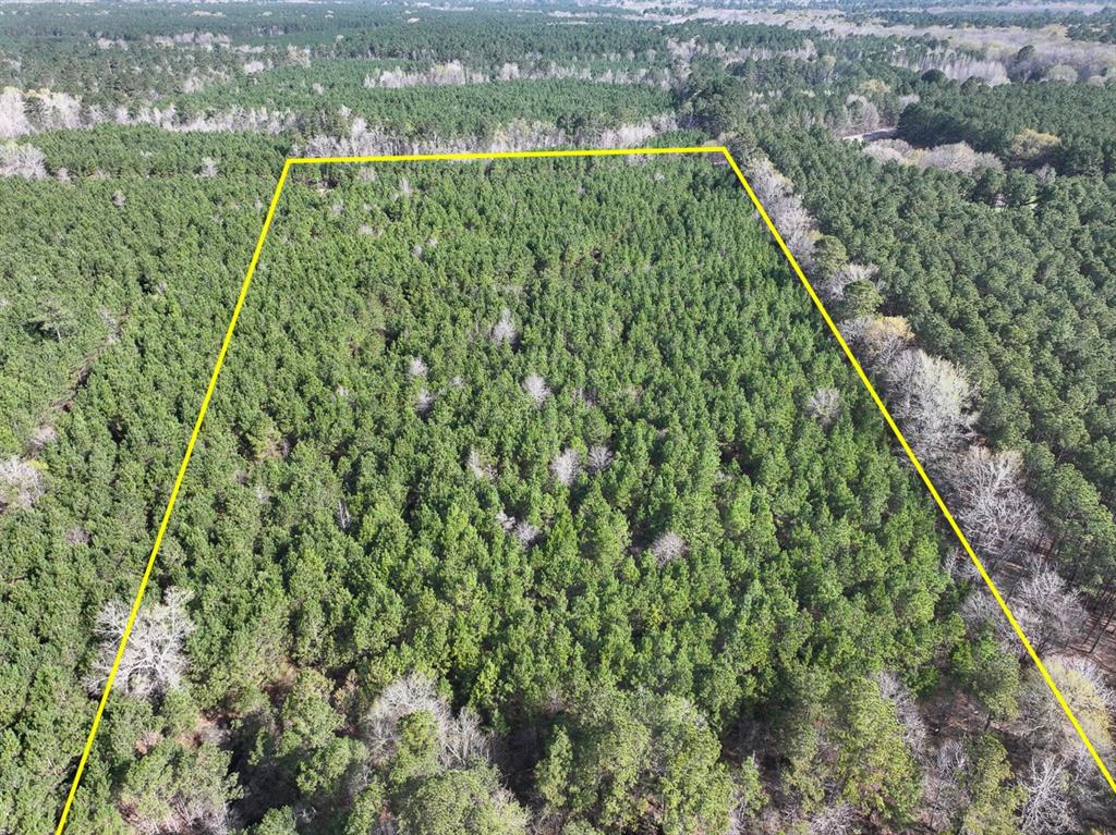 3 La 168 Rodessa La Rodessa, LA 71069 - Photo 2 of 23 a view of a yard