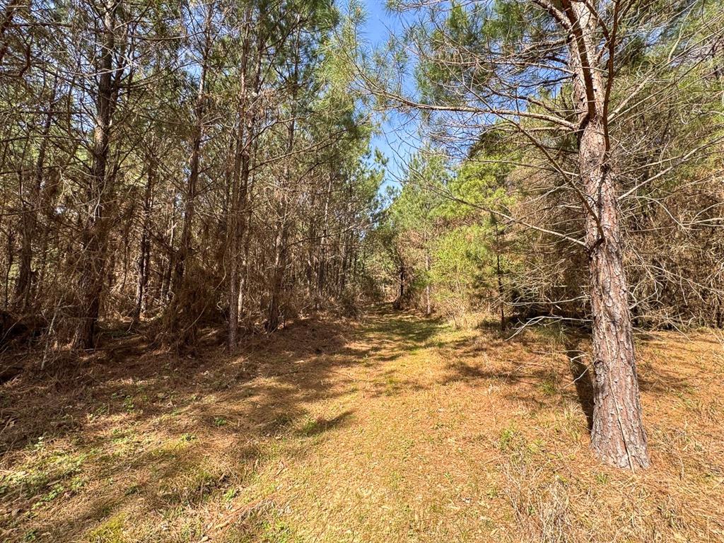 3 La 168 Rodessa La Rodessa, LA 71069 - Photo 23 of 23 a view of under construction of a house