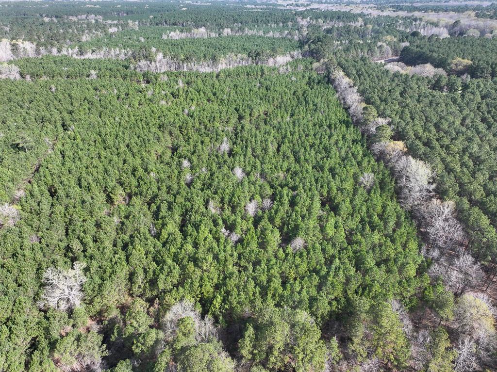 3 La 168 Rodessa La Rodessa, LA 71069 - Photo 4 of 23