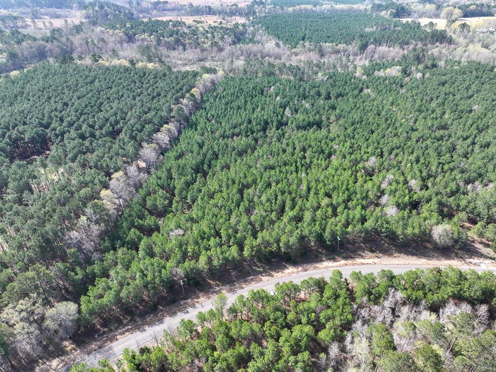 3 La 168 Rodessa La Rodessa, LA 71069 - Photo 5 of 23 a view of a yard with plants and a bench
