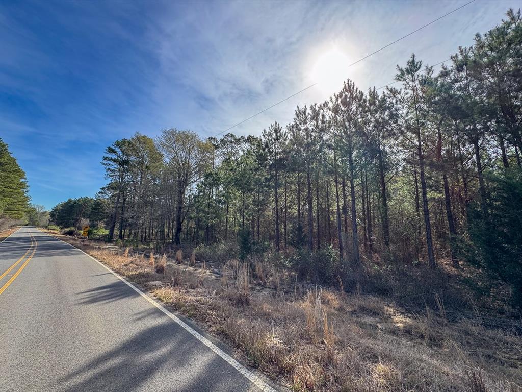 3 La 168 Rodessa La Rodessa, LA 71069 - Photo 7 of 23 a view of a yard with trees in the background
