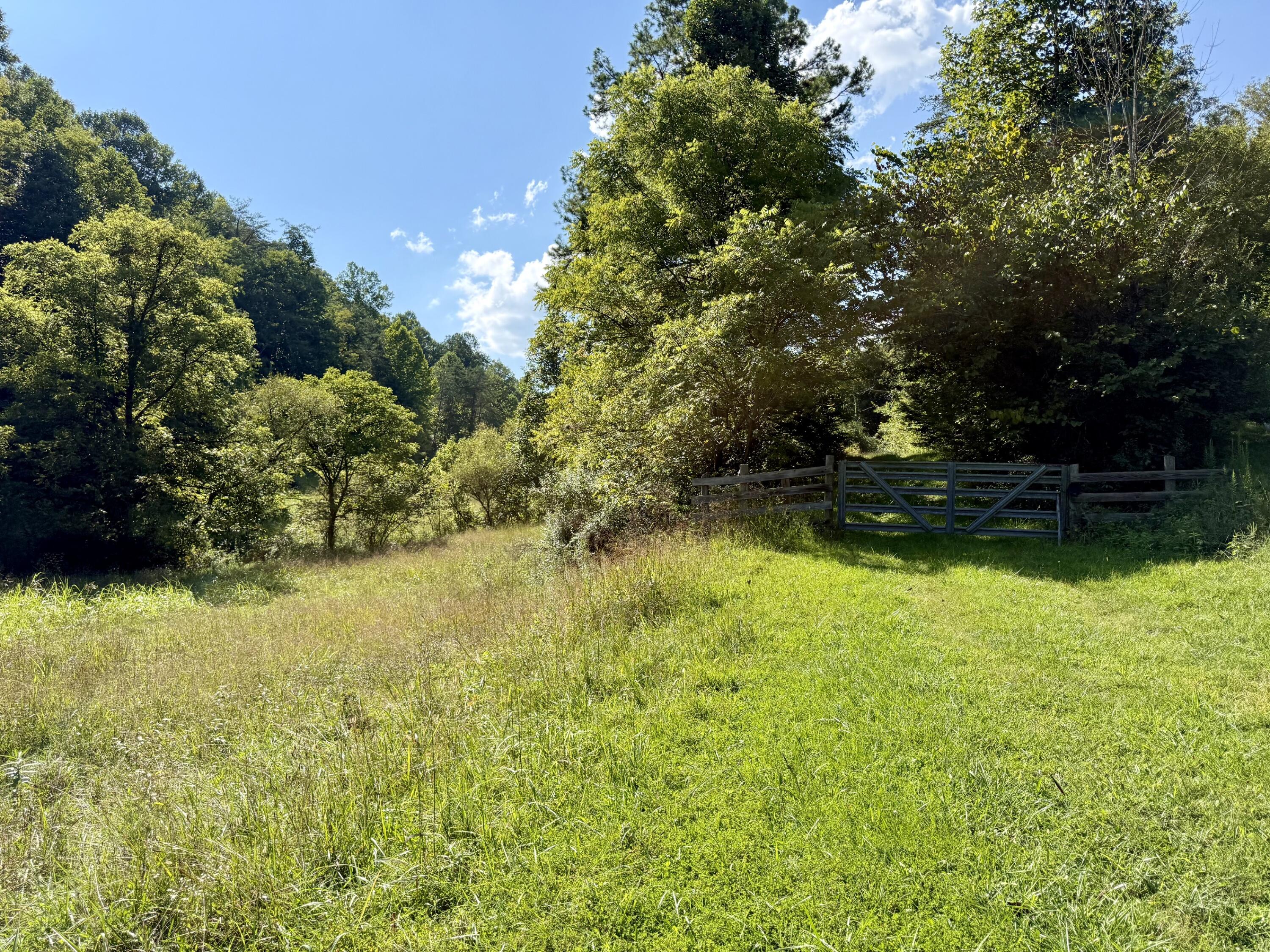 257 Hope Road Beattyville, KY 41311 - Photo 10 of 16 IMG_7681