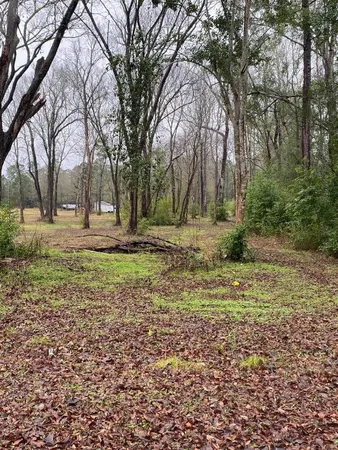 $105,000 | 0 Cochran Street, Shepherd, TX 77371