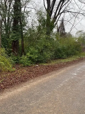 a view of a yard with a tree