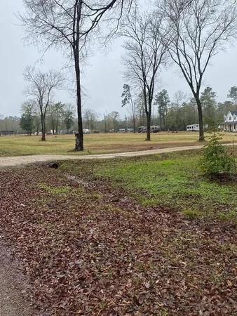 a view of outdoor space with trees