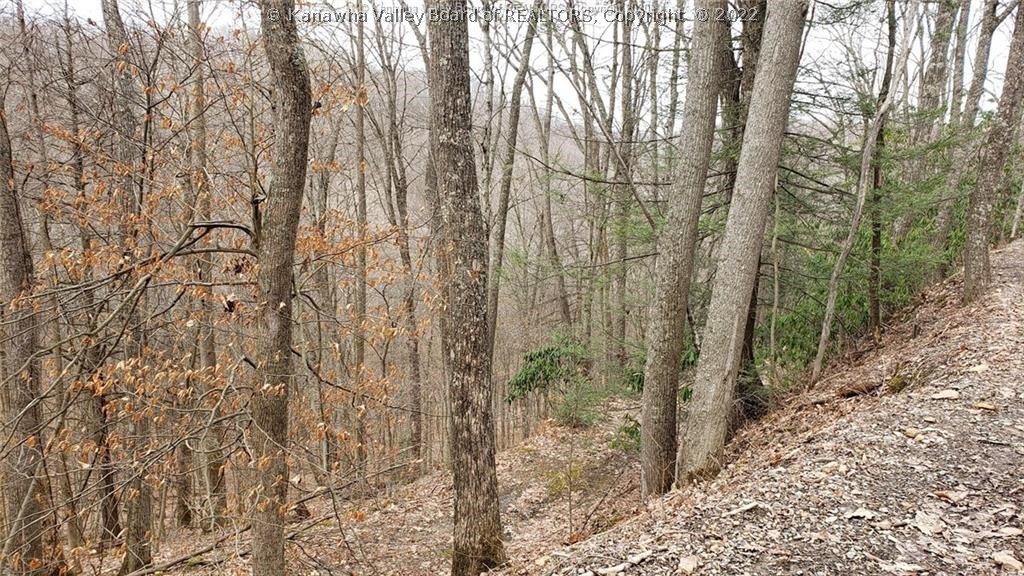 0 Surveyor Creek Road Lester, WV 25865 - Photo 5 of 22 Gallery Image 5