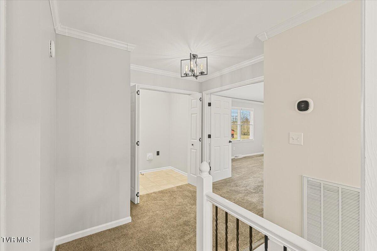 171 Flourville Road Johnson City, TN 37615 - Photo 36 of 63 35-128A6389