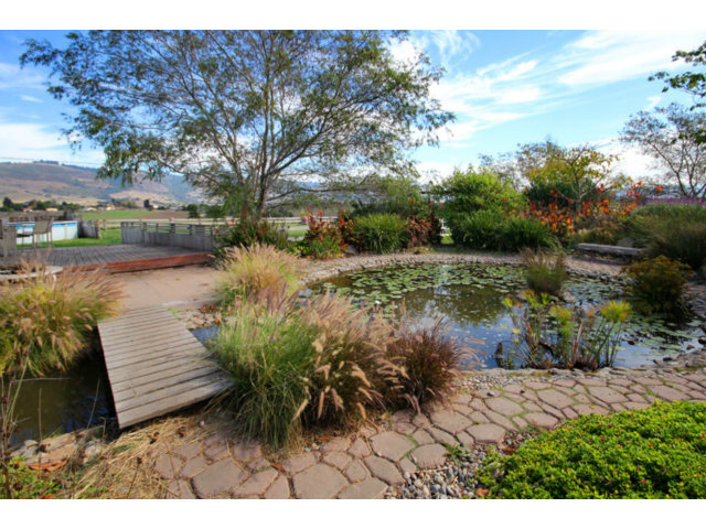 561 Lakeview Road Watsonville, CA 95076 - Photo 13 of 21 a view of a backyard of the house
