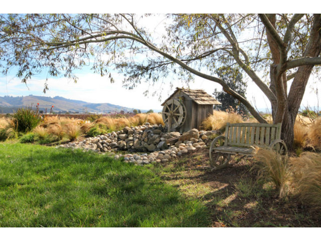561 Lakeview Road Watsonville, CA 95076 - Photo 20 of 21 a view of a yard with plants and a large tree