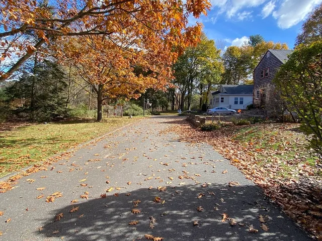 a view of a backyard with wooden fence