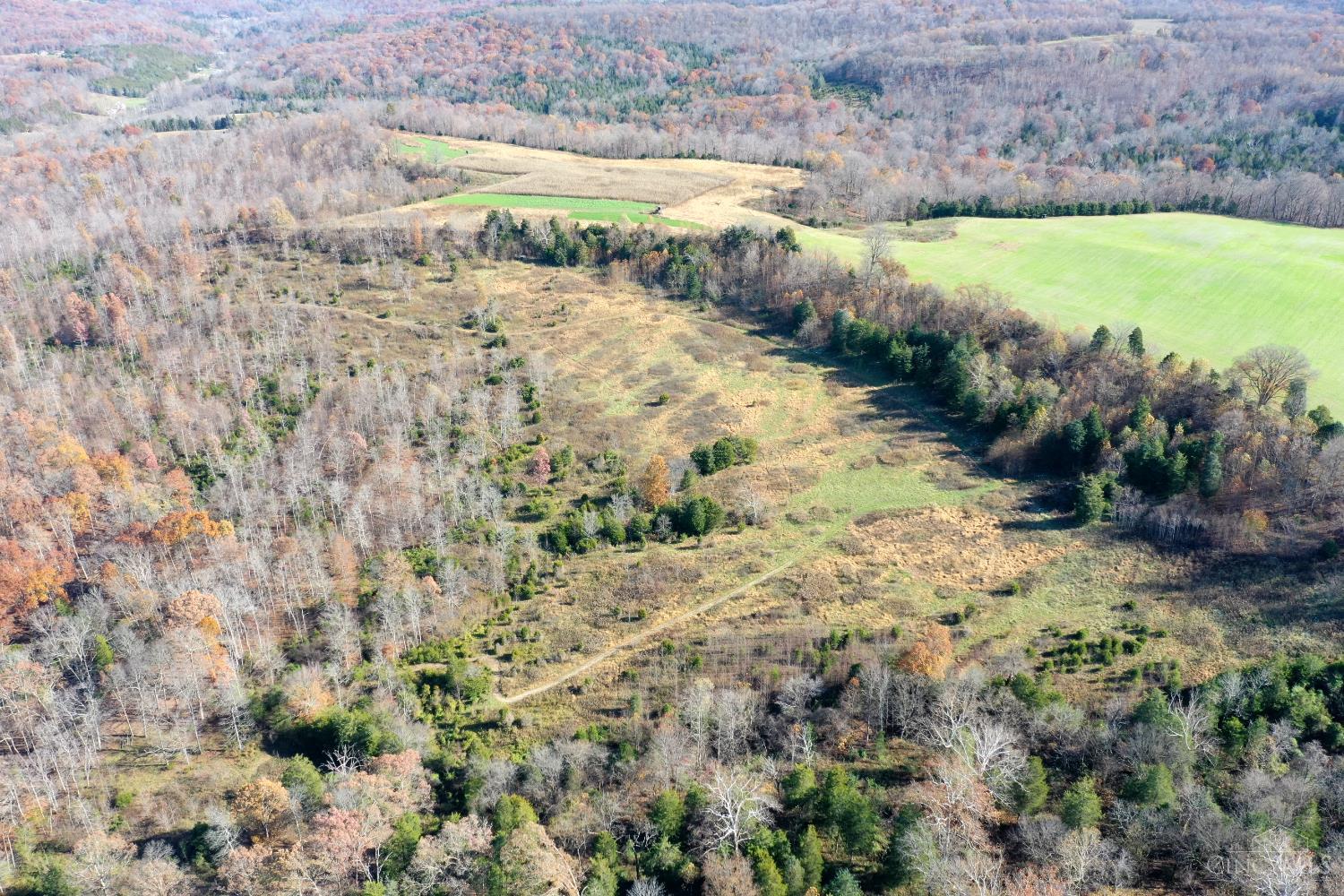 144 Pumpkin Ridge Road Manchester, OH 45144 - Photo 2 of 51 Gallery Image 2