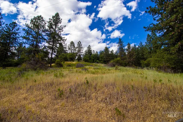 $90,000 | 0 Whitetail Drive, Lenore, ID 83541