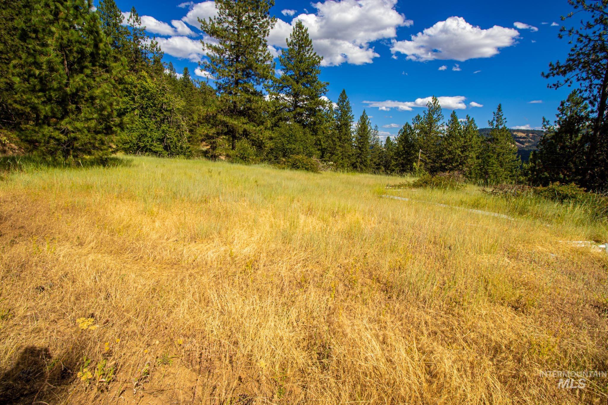 0 Whitetail Drive Lenore, ID 83541 - Photo 11 of 17 View of nature