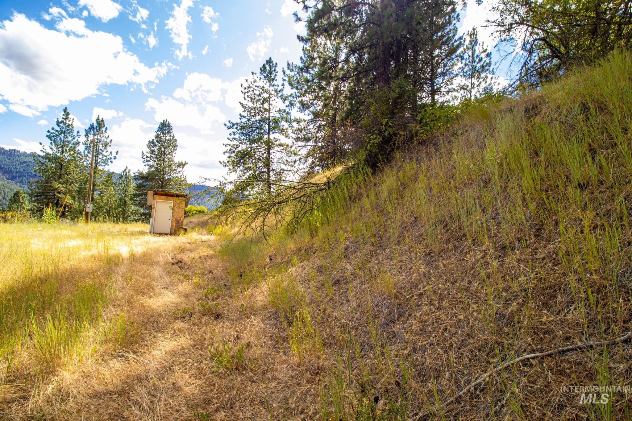 0 Whitetail Drive Lenore, ID 83541 - Photo 13 of 17 View of yard