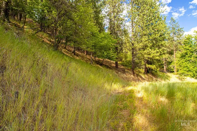 $90,000 | 0 Whitetail Drive, Lenore, ID 83541