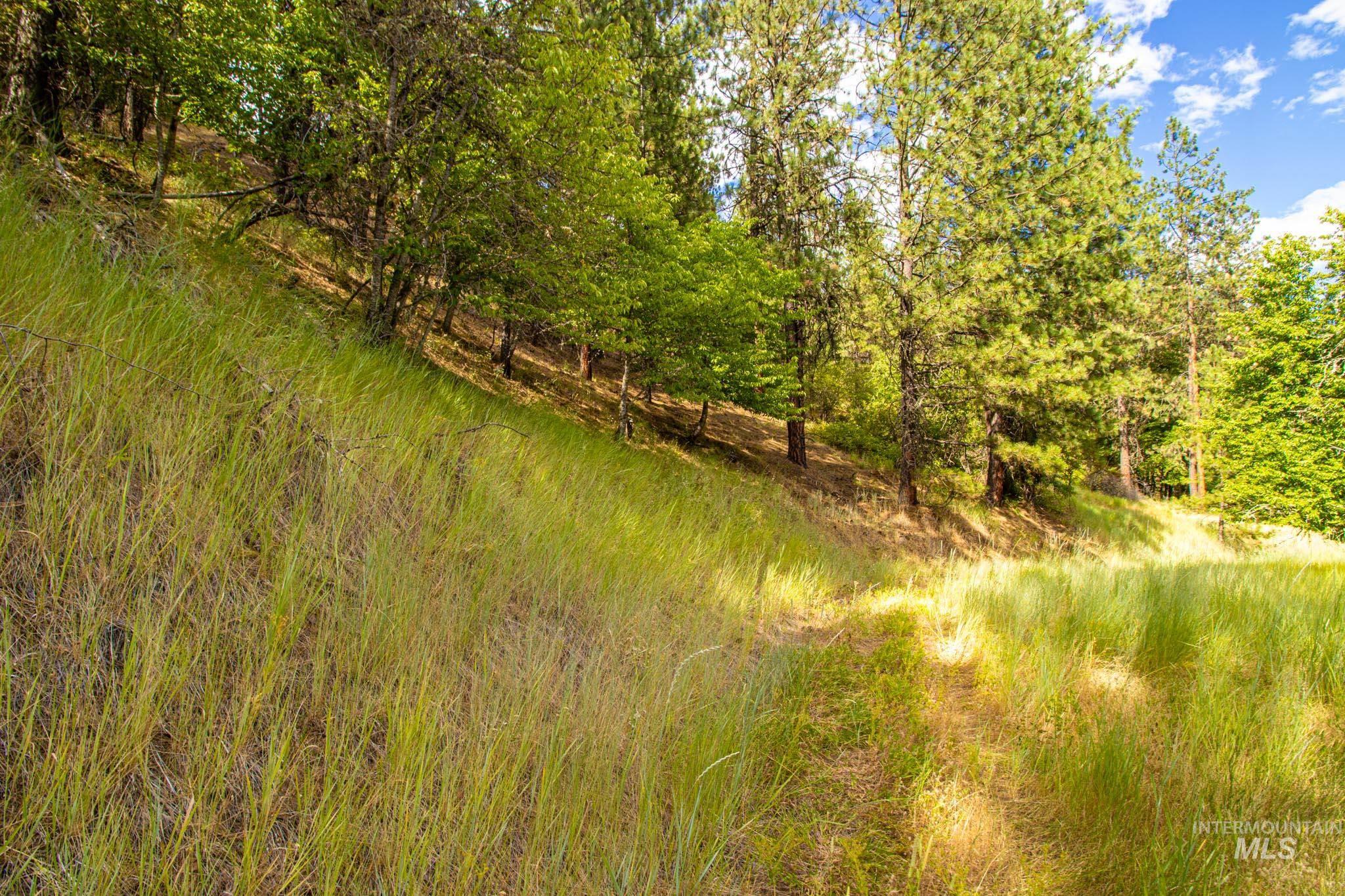 0 Whitetail Drive Lenore, ID 83541 - Photo 14 of 17 View of local wilderness