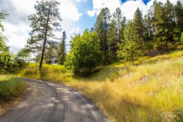 $90,000 | 0 Whitetail Drive, Lenore, ID 83541