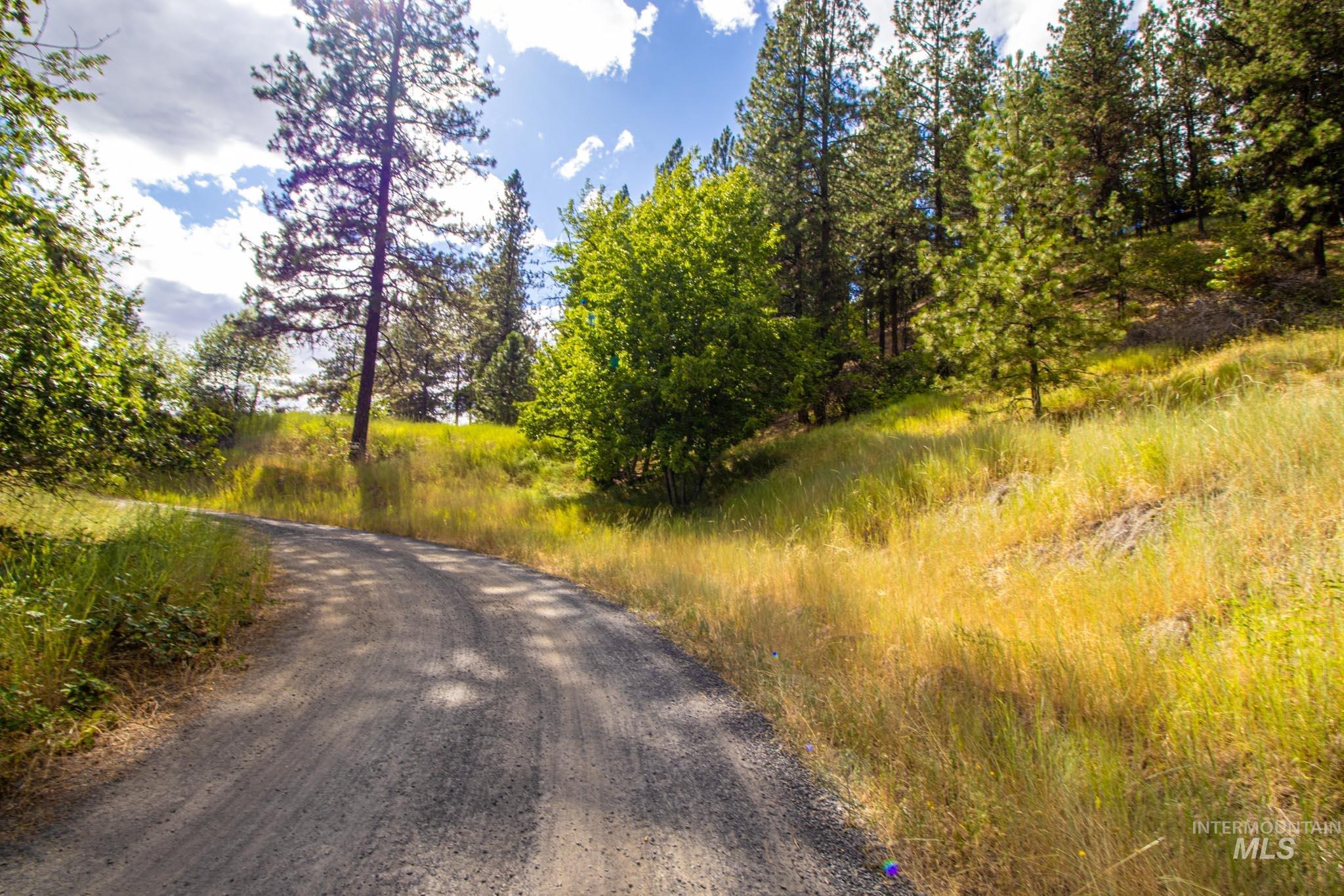 0 Whitetail Drive Lenore, ID 83541 - Photo 16 of 17 View of dirt / gravel road
