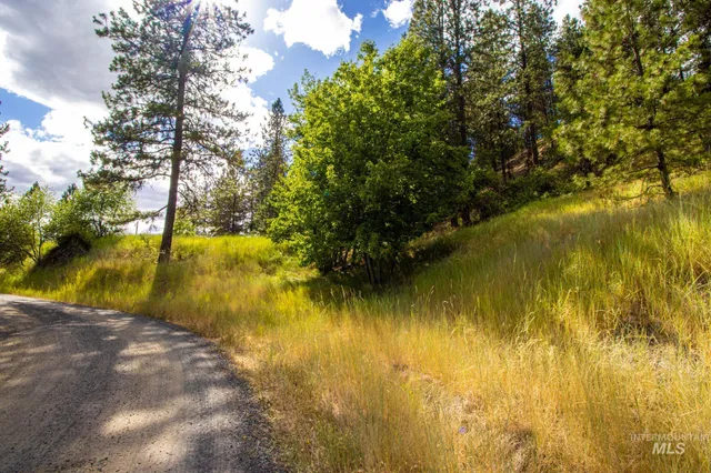 $90,000 | 0 Whitetail Drive, Lenore, ID 83541