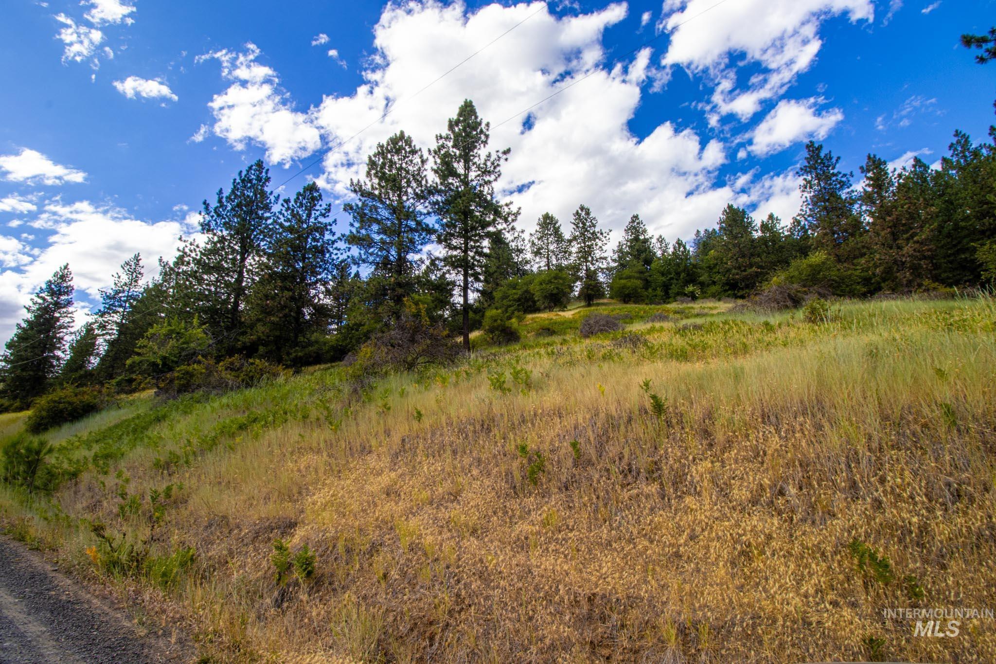 0 Whitetail Drive Lenore, ID 83541 - Photo 2 of 17 View of local wilderness