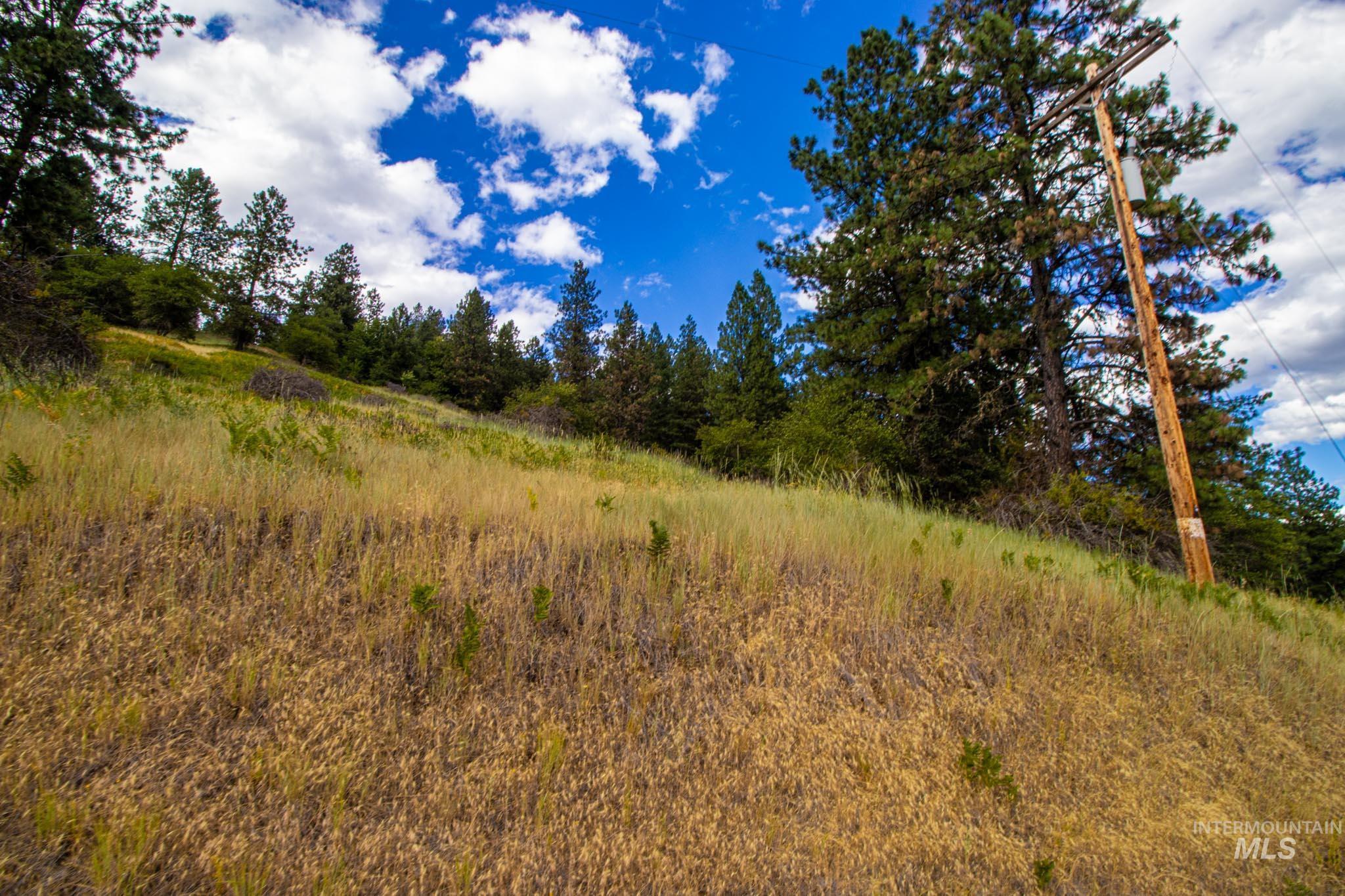 0 Whitetail Drive Lenore, ID 83541 - Photo 3 of 17 View of nature