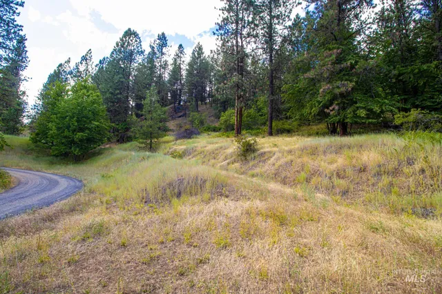 $90,000 | 0 Whitetail Drive, Lenore, ID 83541