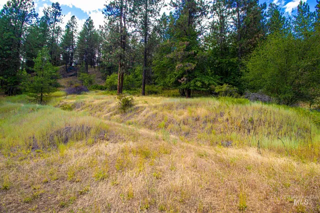 $90,000 | 0 Whitetail Drive, Lenore, ID 83541