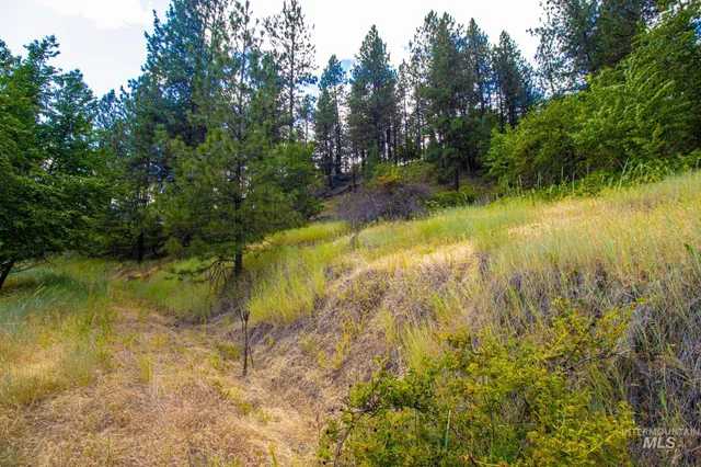 $90,000 | 0 Whitetail Drive, Lenore, ID 83541