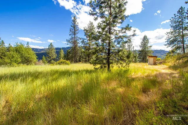 $90,000 | 0 Whitetail Drive, Lenore, ID 83541