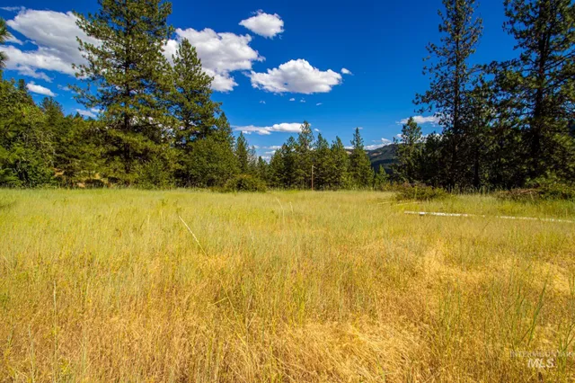 $90,000 | 0 Whitetail Drive, Lenore, ID 83541