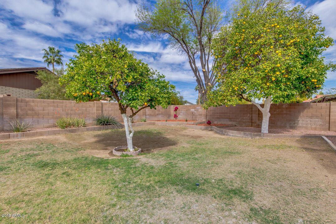 7716 South Terrace Road Tempe, AZ 85284 - Photo 42 of 52 47-Terrace