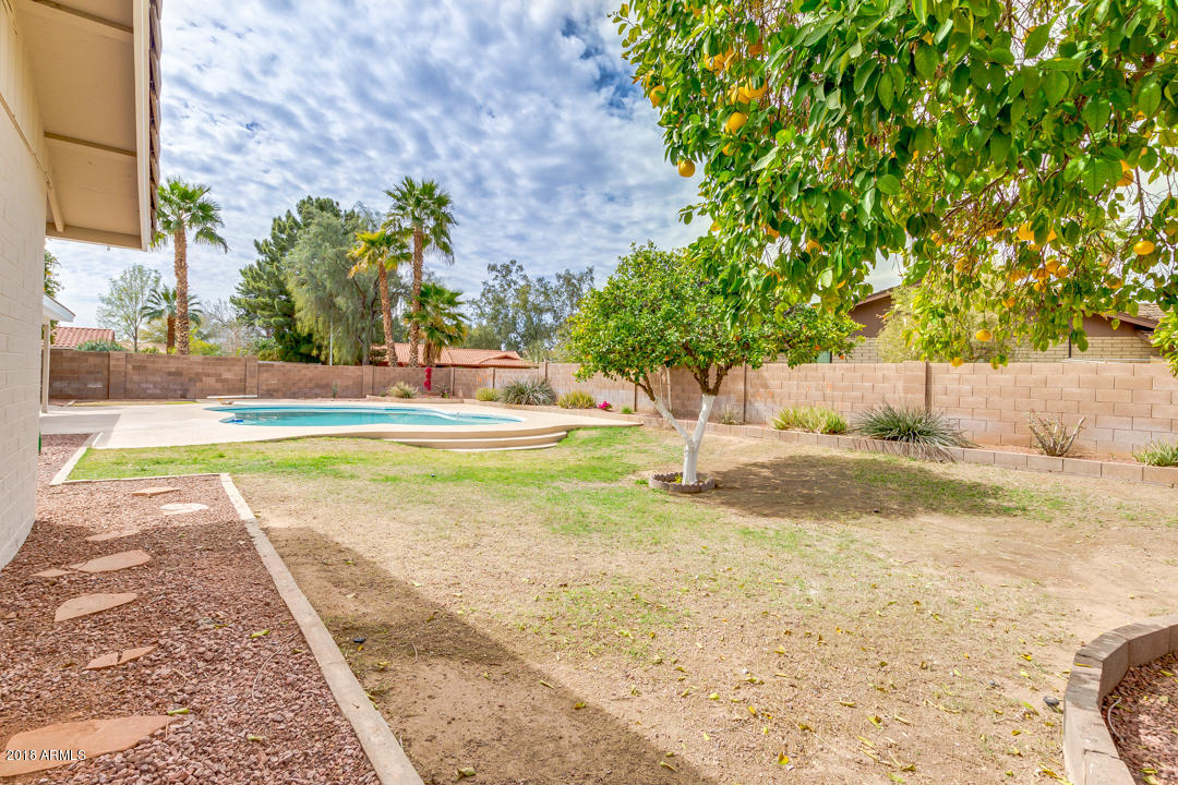 7716 South Terrace Road Tempe, AZ 85284 - Photo 44 of 52 49-Terrace