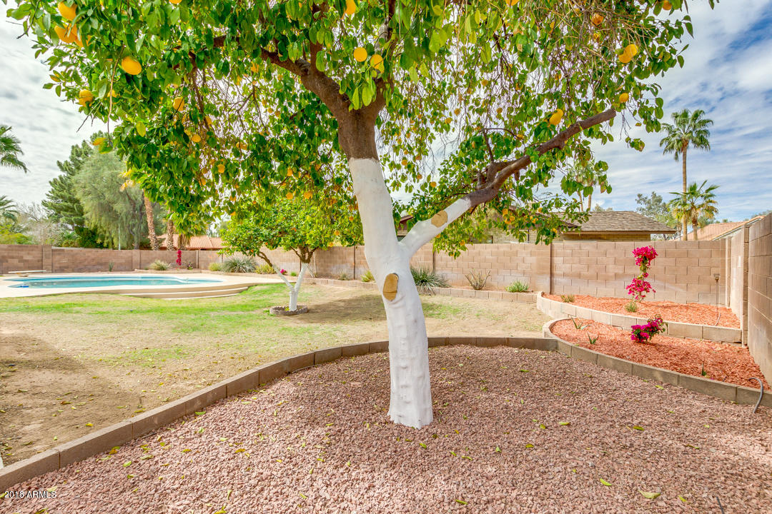7716 South Terrace Road Tempe, AZ 85284 - Photo 45 of 52 50-Terrace