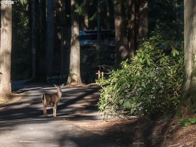 $135,000 | 32700 Southeast Leewood Lane, Unit 57R, Boring, OR 97009