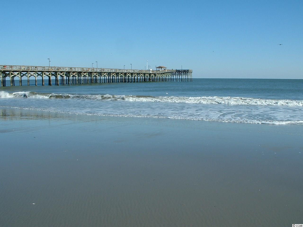 213 Wando River Road, Unit 11D Myrtle Beach, SC 29579 - Photo 16 of 40 Gallery Image 16