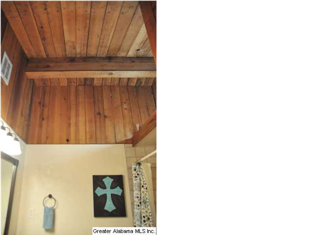 229 Snake Hill Road Trussville, AL 35173 - Photo 15 of 25