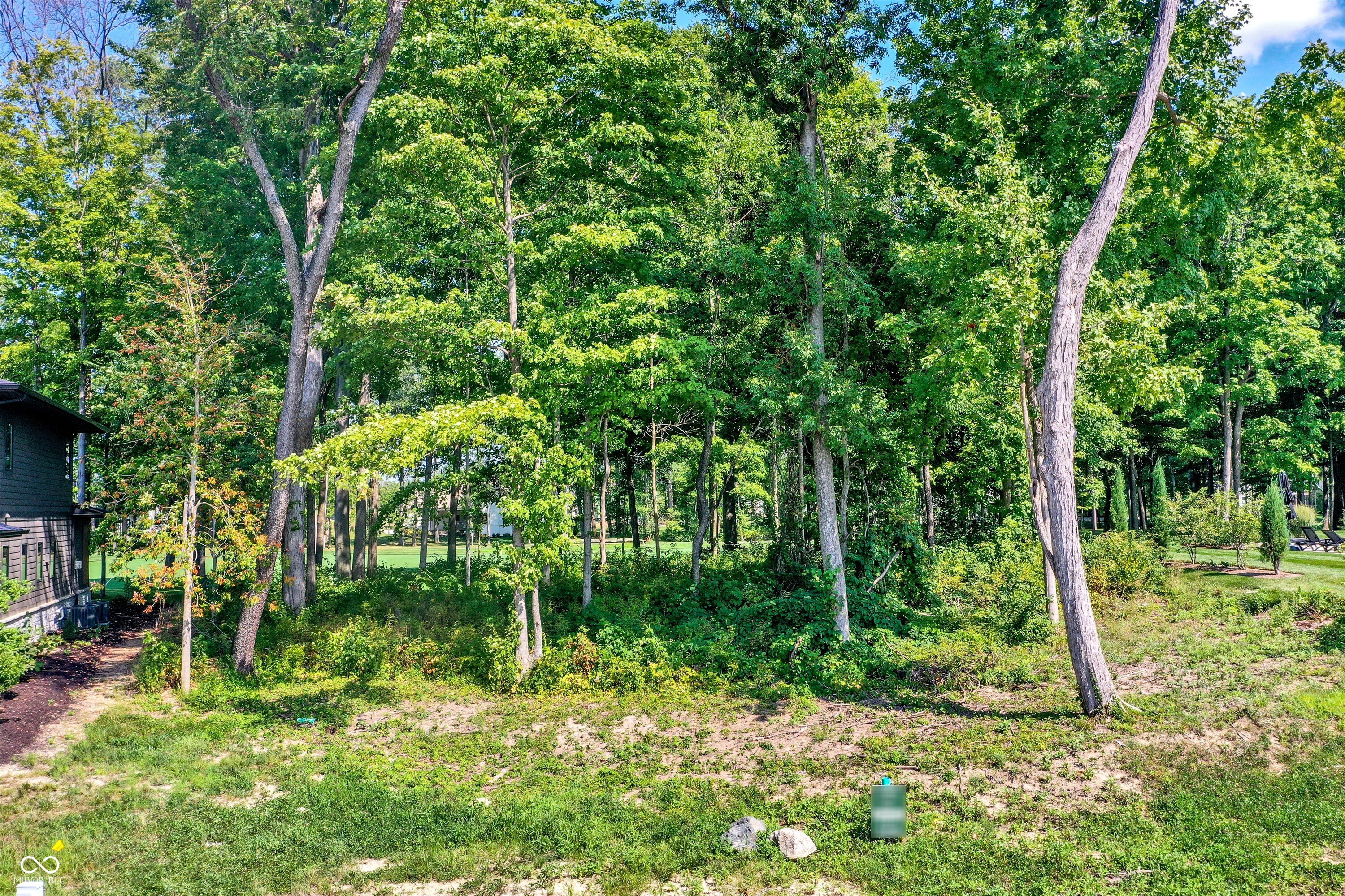 3809 Dartmoor Way Zionsville, IN 46077 - Photo 16 of 17