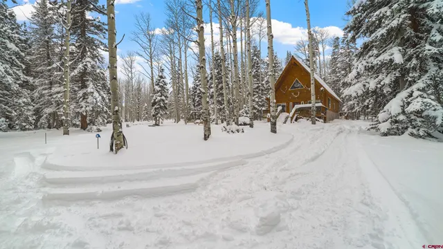 a view of snow on the road and trees