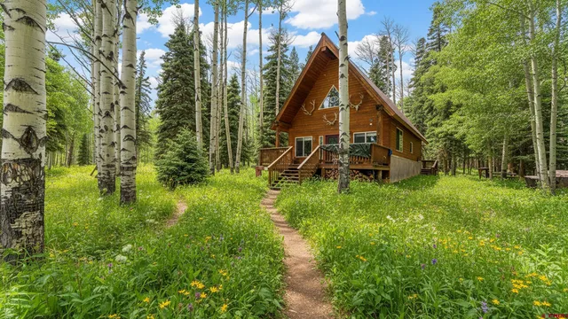 a view of a park with large trees
