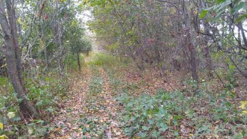 Vl Rogers Road, Unit VL Parma, MI 49269 - Photo 15 of 30