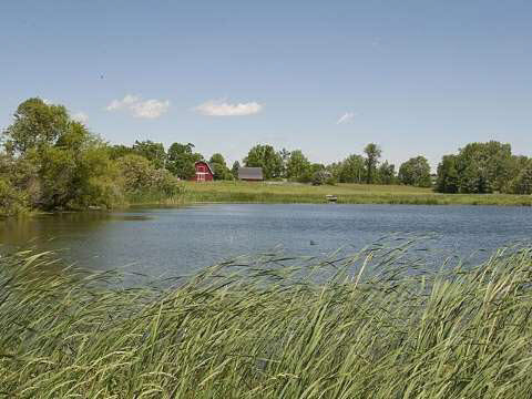 9159 Clinton Macon Road Tecumseh, MI 49286 - Photo 24 of 25 20403254-23.JPG