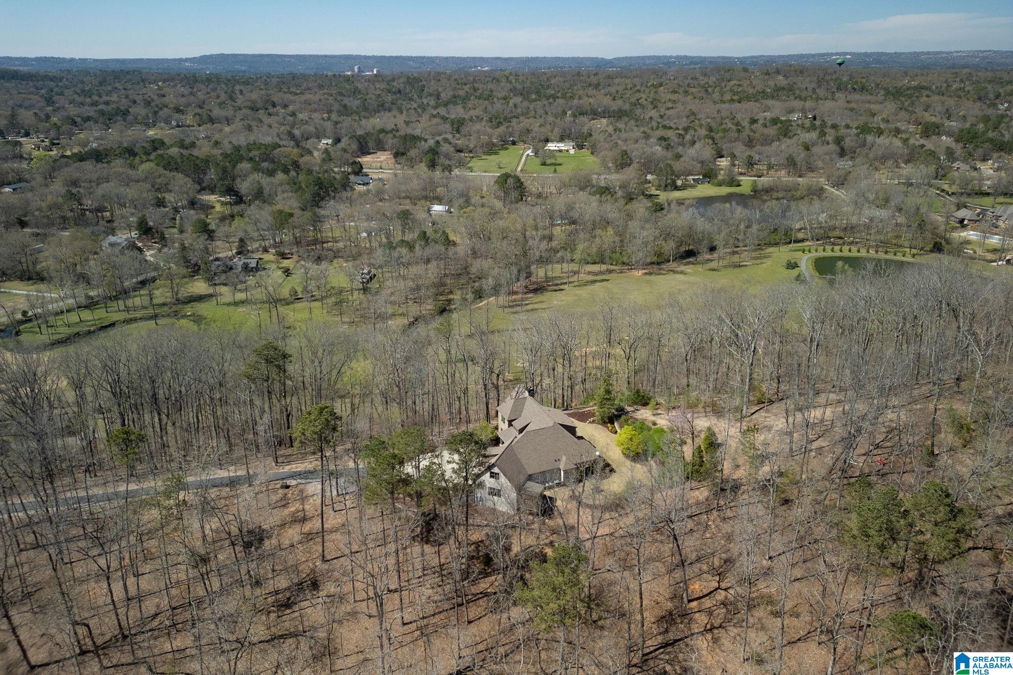 1045 Stagg Run Trail Pelham, AL 35124 - Photo 60 of 68