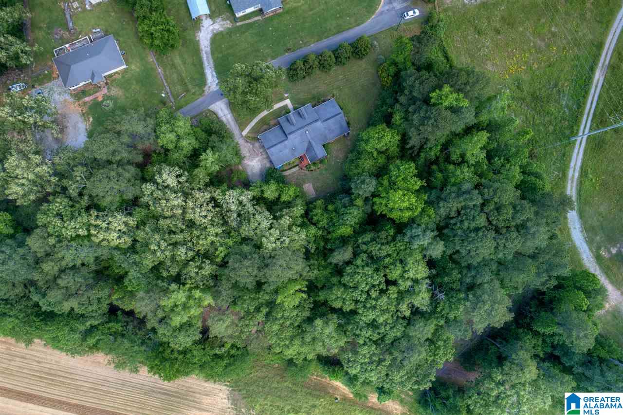 631 Dana Road Warrior, AL 35180 - Photo 38 of 41
