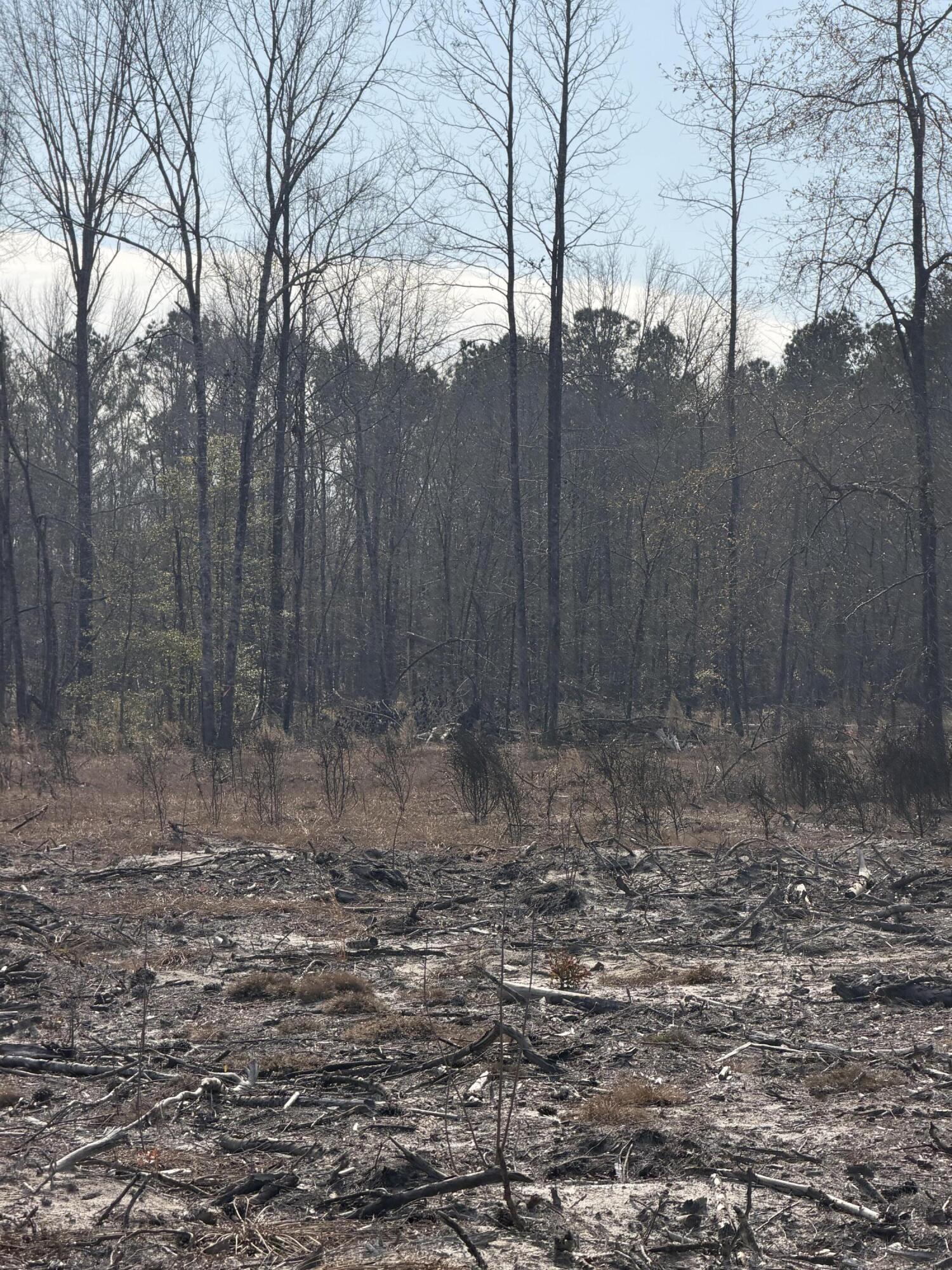 20.33 R And B Road Barnwell, SC 29812 - Photo 5 of 11