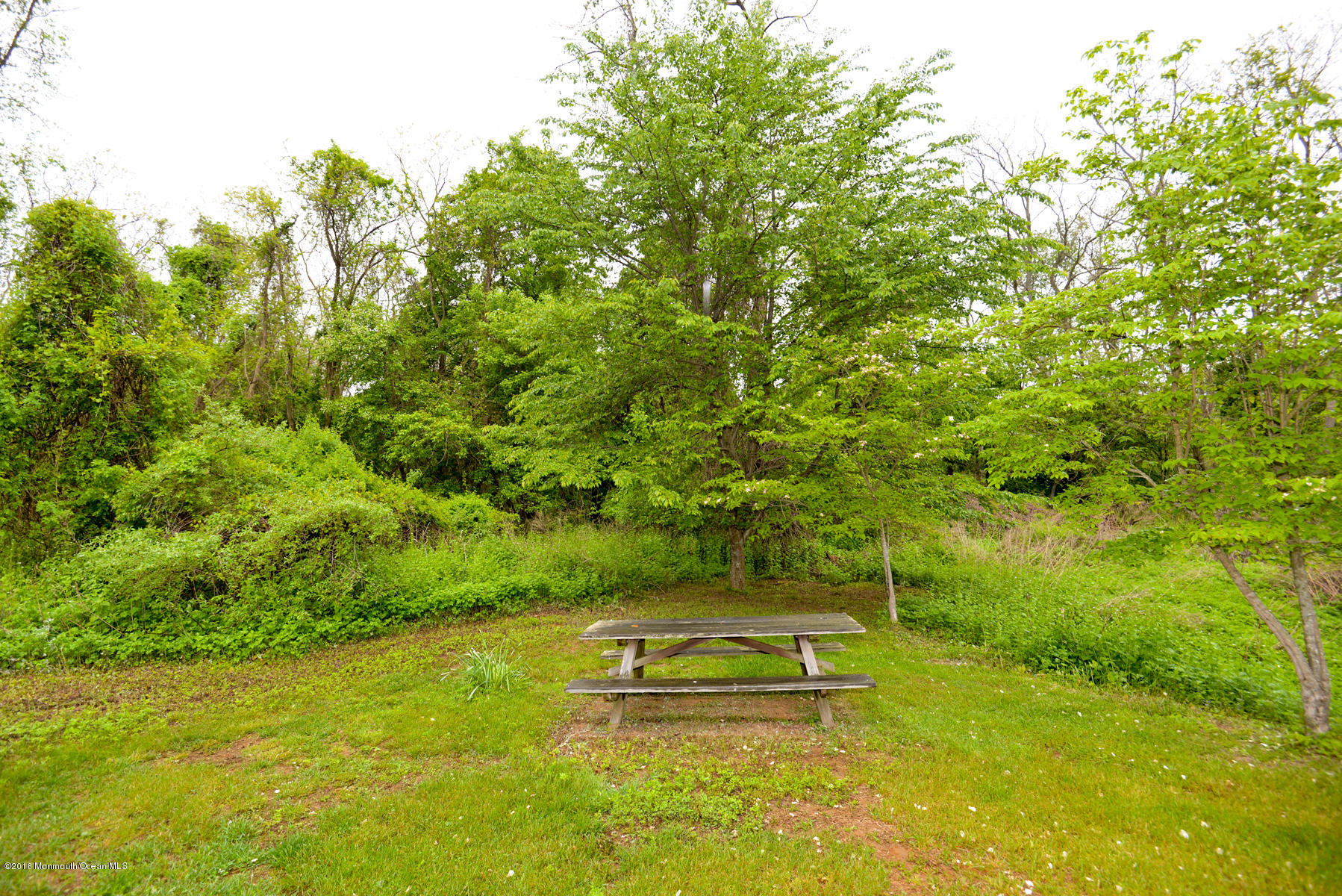 143 Phalanx Road Colts Neck, NJ 07722 - Photo 65 of 99 PROP 4