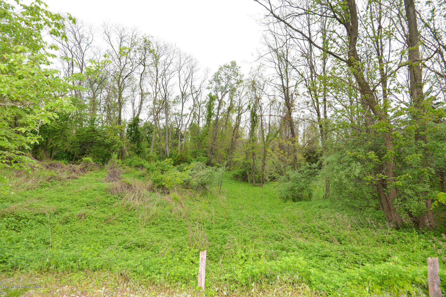 143 Phalanx Road Colts Neck, NJ 07722 - Photo 68 of 99 PROP 8