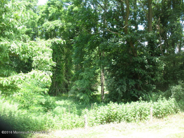 143 Phalanx Road Colts Neck, NJ 07722 - Photo 81 of 99 410