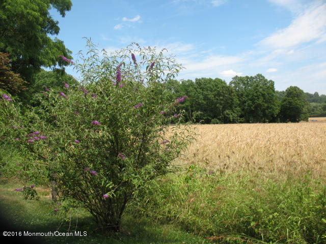143 Phalanx Road Colts Neck, NJ 07722 - Photo 85 of 99 outside kitchen window view.