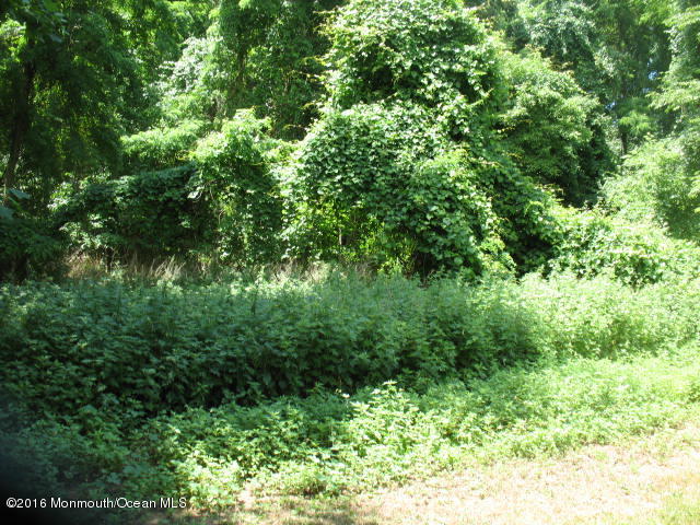 143 Phalanx Road Colts Neck, NJ 07722 - Photo 93 of 99 Green Acres...